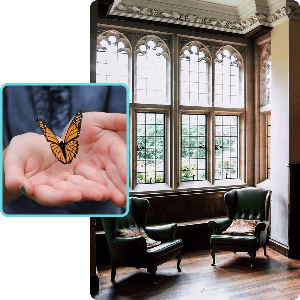 Hand holding butterfly in elegant room.